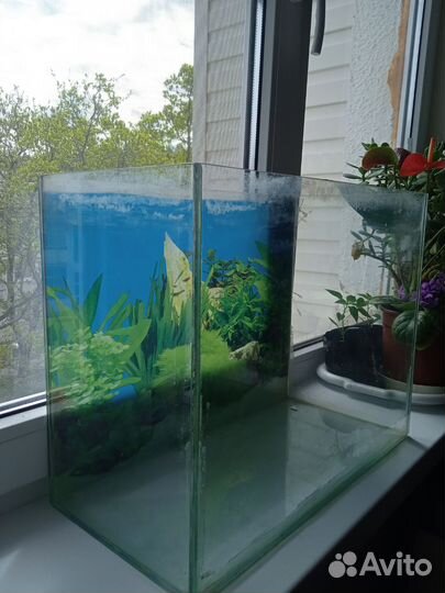 Аквариум