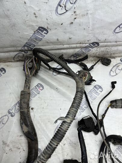 Проводка моторная Ford Mondeo 2