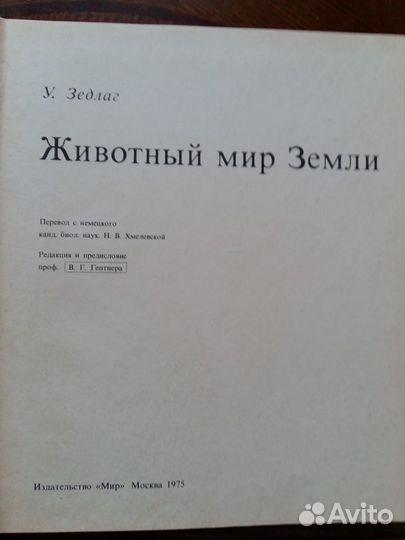 Детская энциклопедия. Всё о рисовании