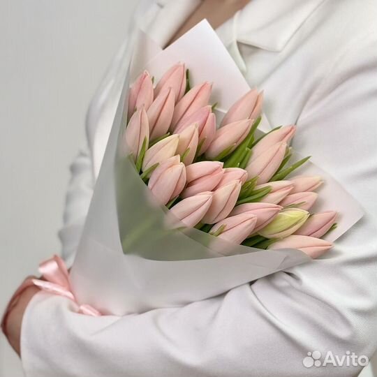 Тюльпан премиум