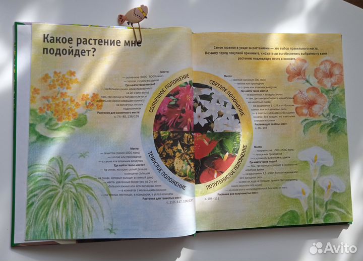 Книга о комнатных растениях