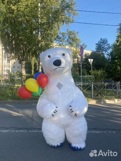 Большой белый мишка (2,6 метра), поздравления