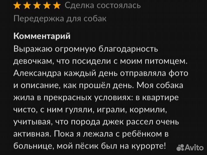 Передержка для собак