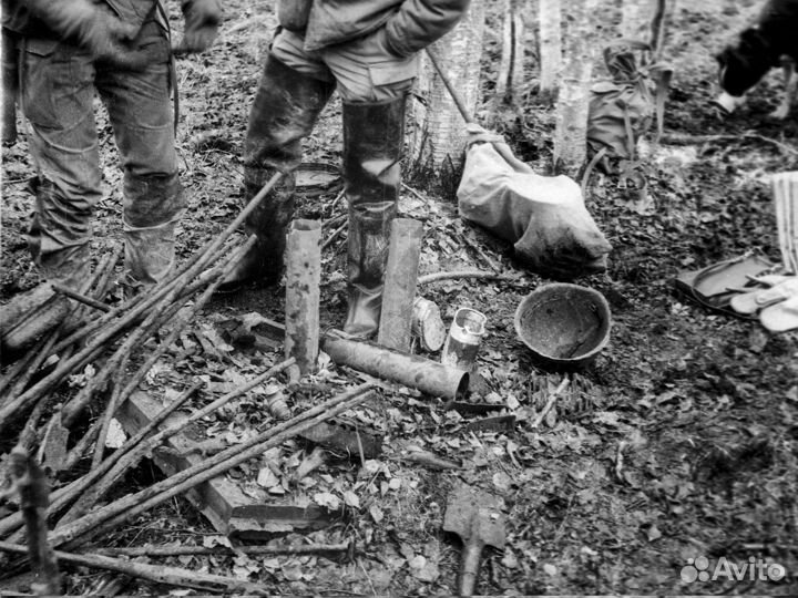 Сканирование, оцифровка негативов (слайдов)