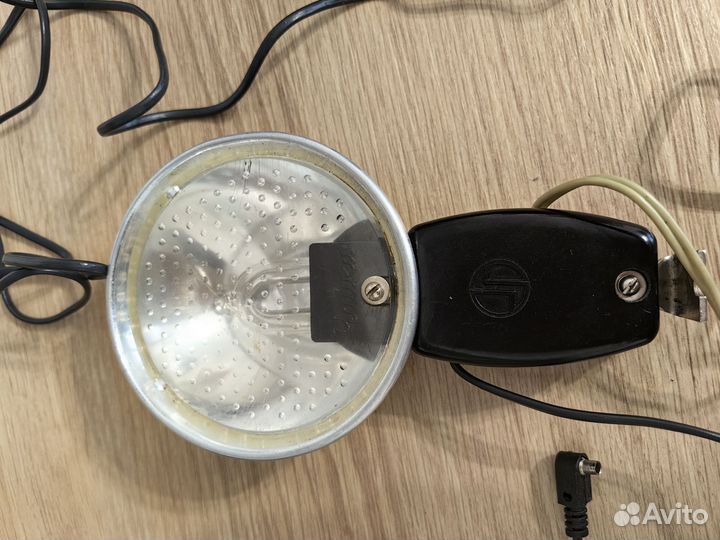 Вспышка чайка