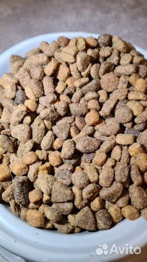 Корм для собак и кошек - опт