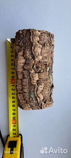 Дом для пауков