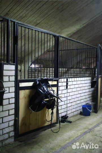 Постой лошадей