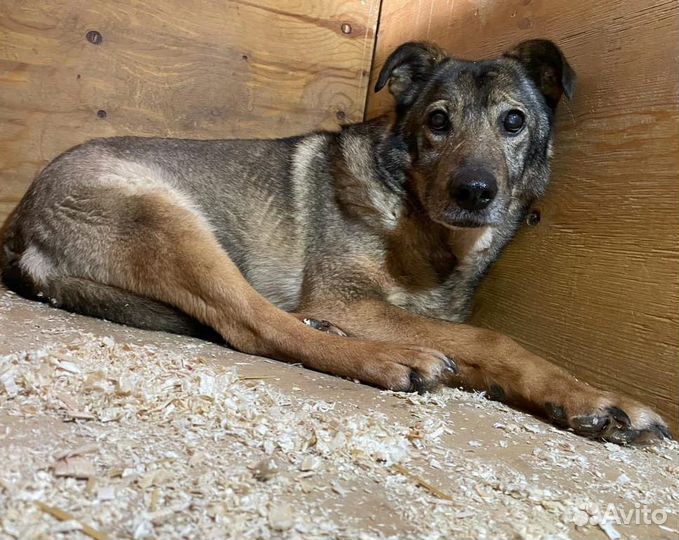 Старость в одиночестве