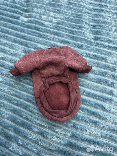 Одежда для собак мелких пород