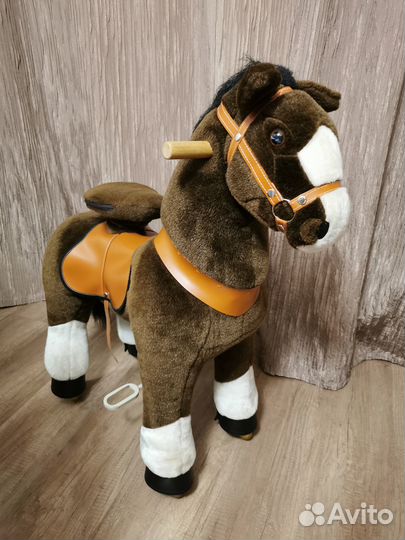 Поницикл. Лошадь. Конь. Пони