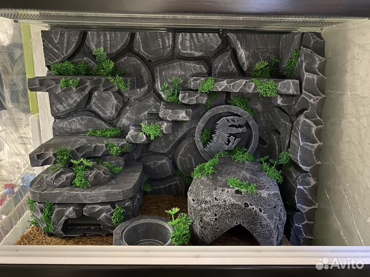Оформление террариума «под ключ»