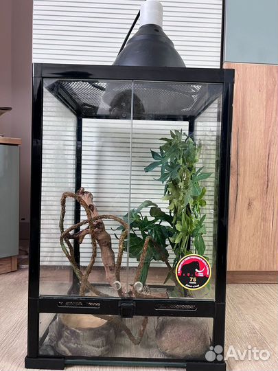 Вертикальный террариум