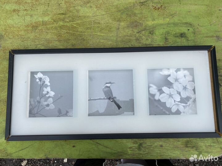 Рамка с фотографиями