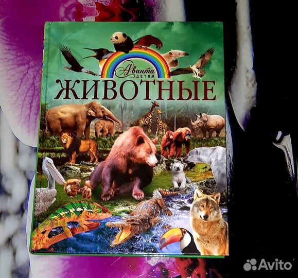 Энциклопедия про животных