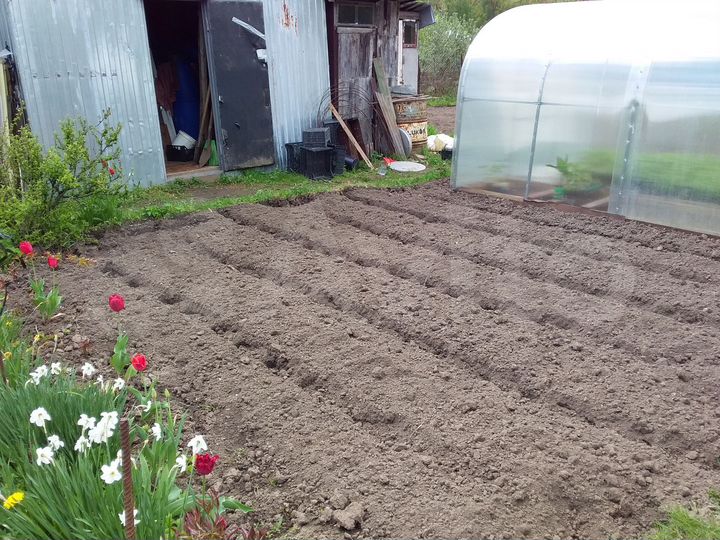 Дача 40 м² на участке 9 сот.