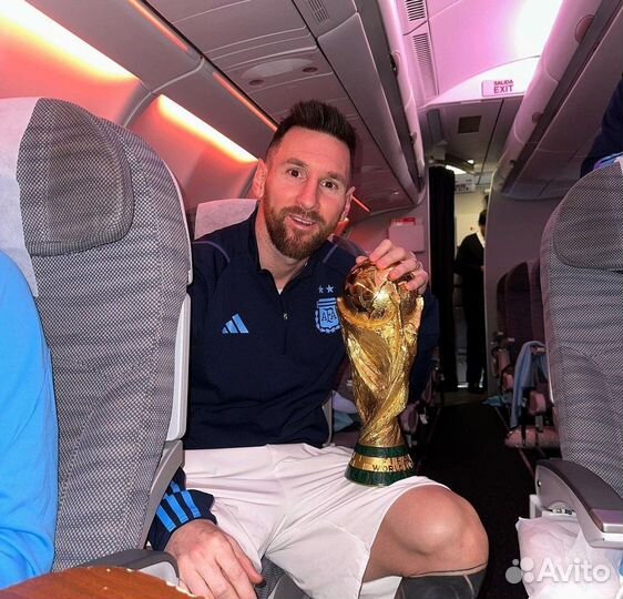 Кубок официальный сувенир любителю футбола