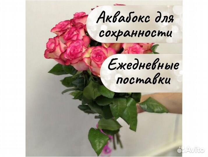 Букет 15 роз