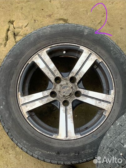 Dunlop Graspic DS2 195/65 R15 B