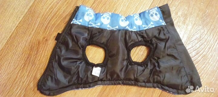 Одежда для собак