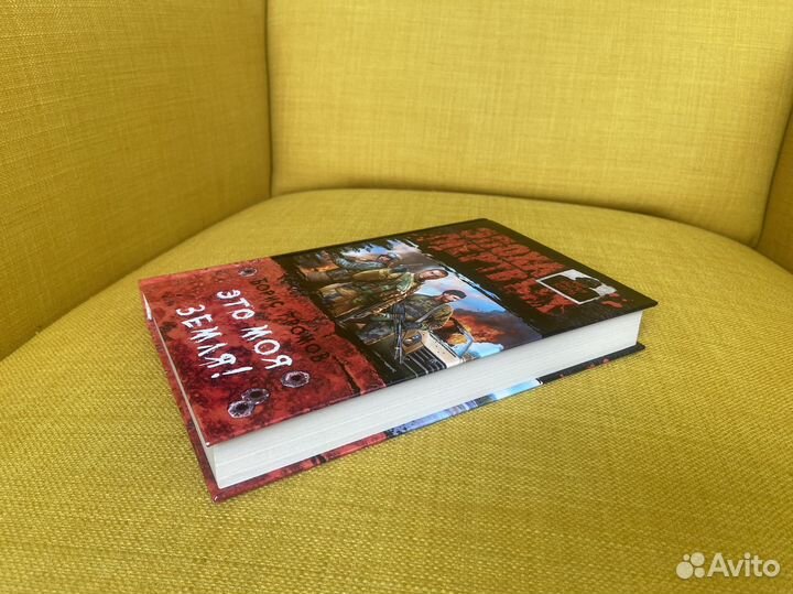 Это моя земля - Борис Громов