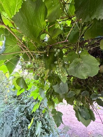 Коттедж 107,7 м² на участке 13 сот.