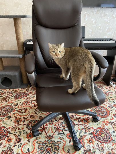 Компьютерное кресло