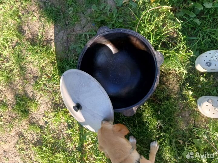 Казан чугунный