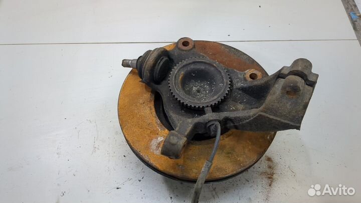 Ступица (кулак, цапфа) Ford Transit, 2011