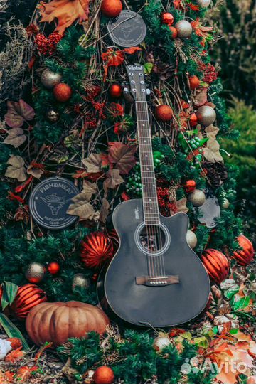 Гитары Starlord Cobain Black Label '40