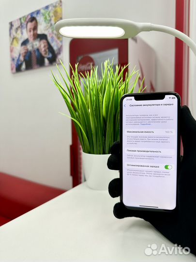 iPhone X, 256 ГБ