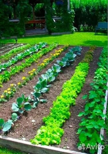 Чернозем/Перегной /Навоз /Конский /Доставка