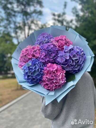 Гортензия микс (гидрангея). Букет цветов