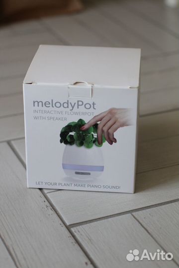 Интерактивное кашпо с колонкой melodyPot