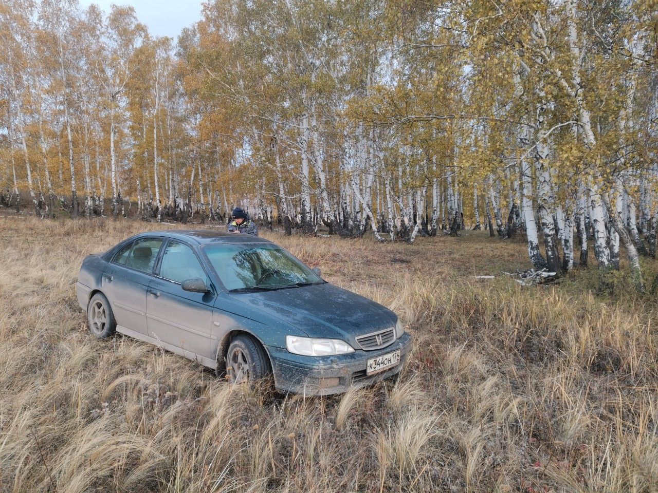 Honda Accord: фото владельца