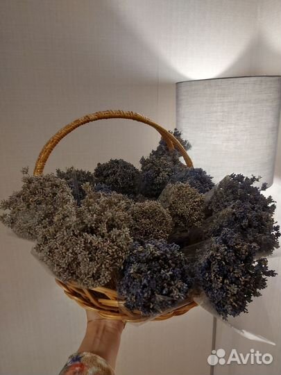 Лаванда сушеная