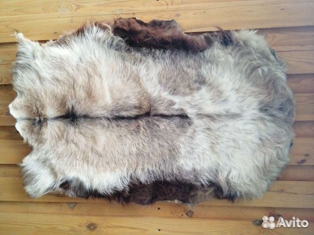 Шкура козы не выделанные