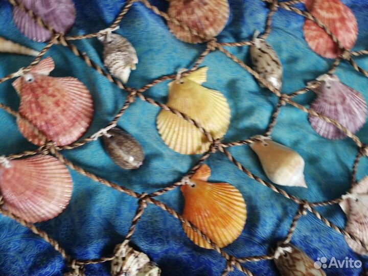 Пано из ракушек