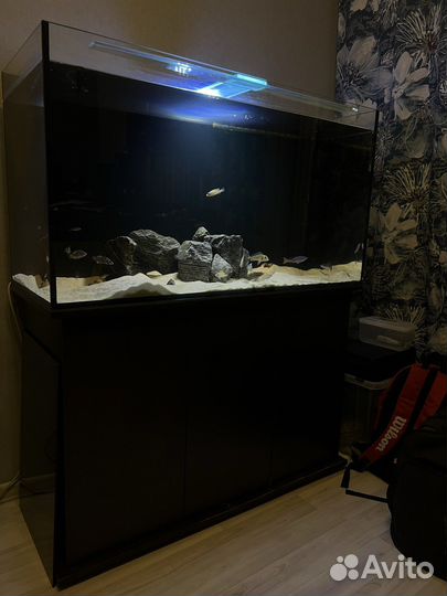 Аквариум с тумбой 300 литров