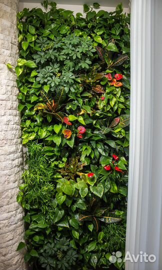 Фитостена. Вертикальное озеленение