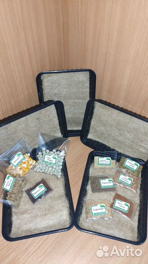 Микрозелень набор для выращивания / Руккола