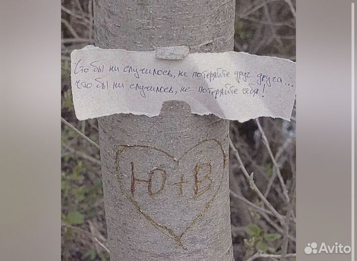 Книги для подростков