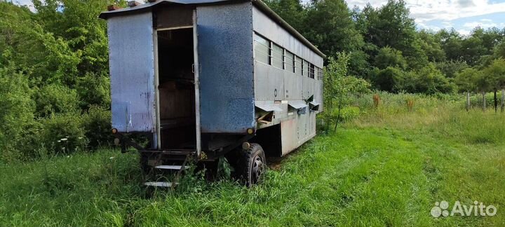 Пчелосемьи