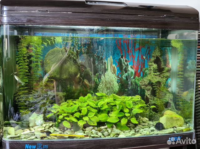 Аквариум jebo R375 144л