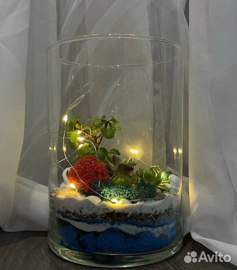 Флорариум цветы подарок