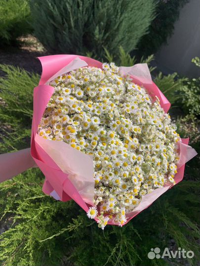 Букет ромашек