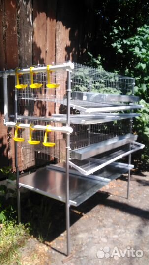 Клетки для перепелов