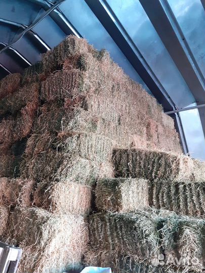 Сено люцерны, сено разнотравье, солома