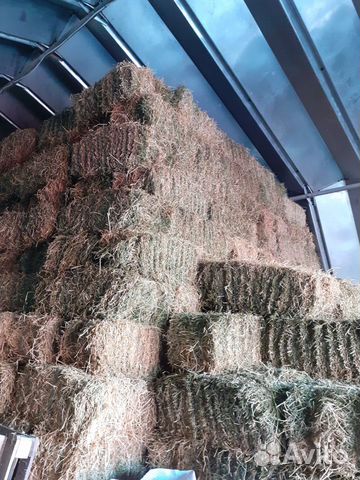 Сено люцерны, сено разнотравье, солома