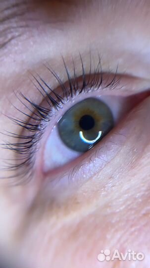 Ламинирование ресниц /бровей/наращивание